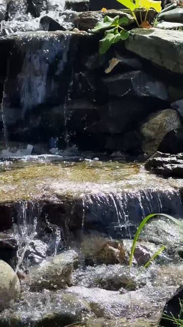 Красивый водопад на даче✨