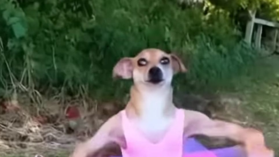 играю в стандофф 2