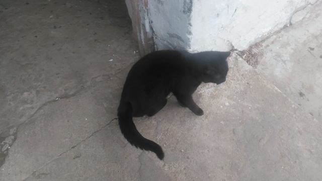 VID_20250123_110935
