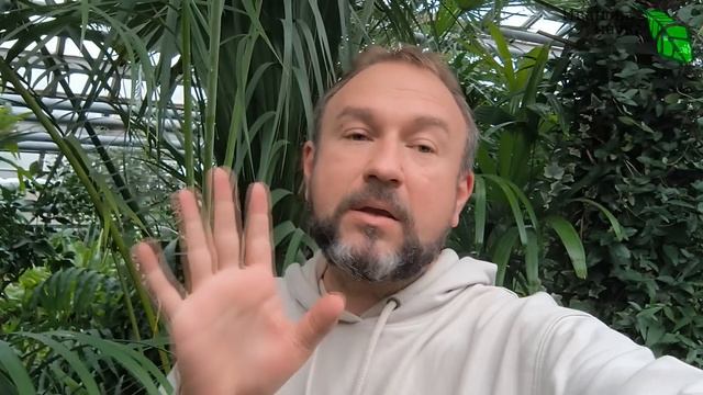 СТОЙТЕ! НЕ ВНОСИТЕ СУПЕРФОСФАТ, пока не узнаете этот секрет! Подделки и опасности СУПЕРФОСФАТА.