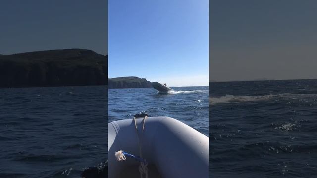 лодки пвх и остров Русский
