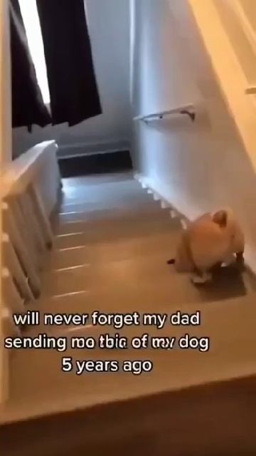 1000072318.mp4