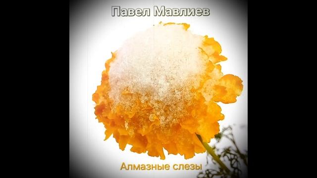 Павел Мавлиев - Алмазные слезы (новогодняя). Сингл-версия.