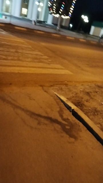 VID_20250124_173919.mp4