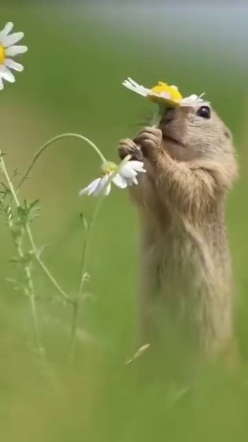 1000088843.mp4
