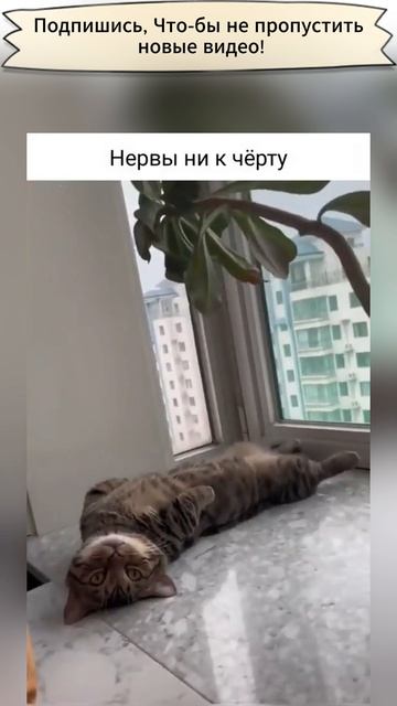 Всегда на стороже