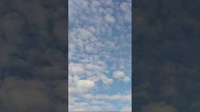 Пение птиц, облака, небо. Футаж.