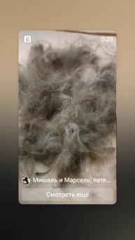 Капризная модель.