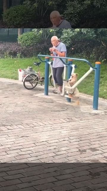 1000088617.mp4
