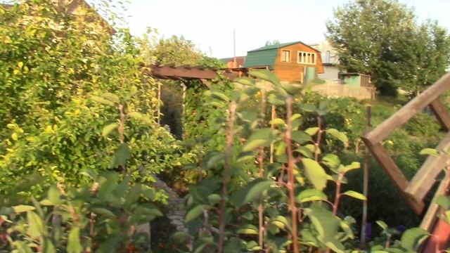 Наша дача. Весь год в одном фильме. 2023 год