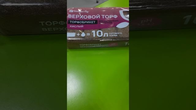 Про страусник (пароротник)