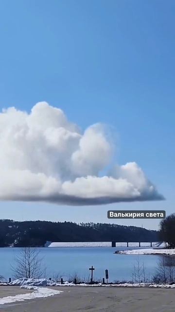 VID_20250115_000422_114.mp4
