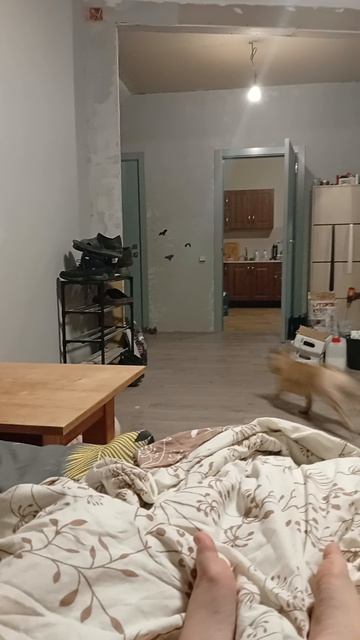 1000000529.mp4