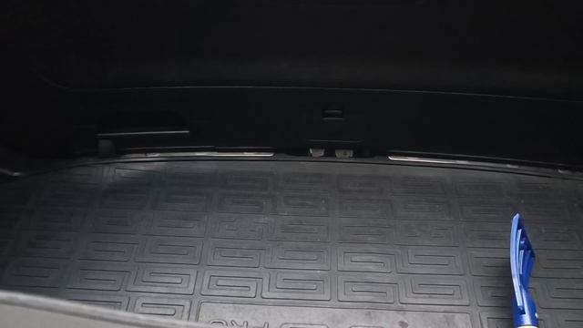 VID20250125130000.mp4