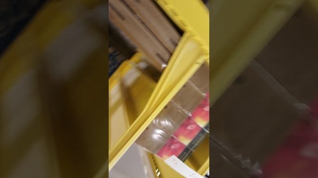 VID_20250124_173423.mp4