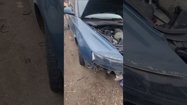 1000329559.mp4