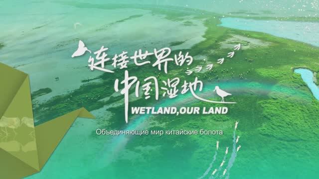 Водно-болотные угодья Китая, объединяющие мир