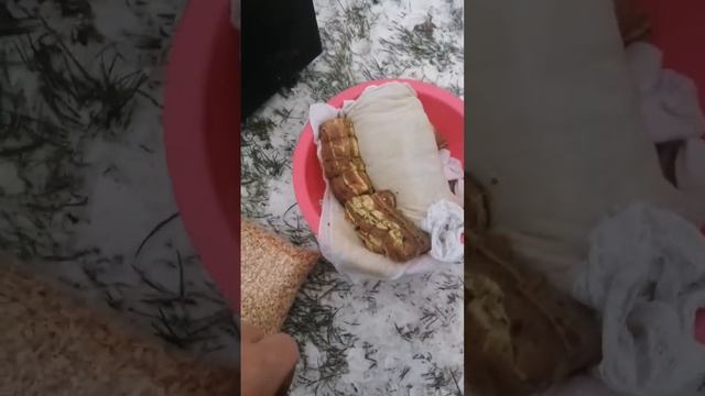 Копчения бикона. Сало. дома  специе какие были. Получилось бомба
