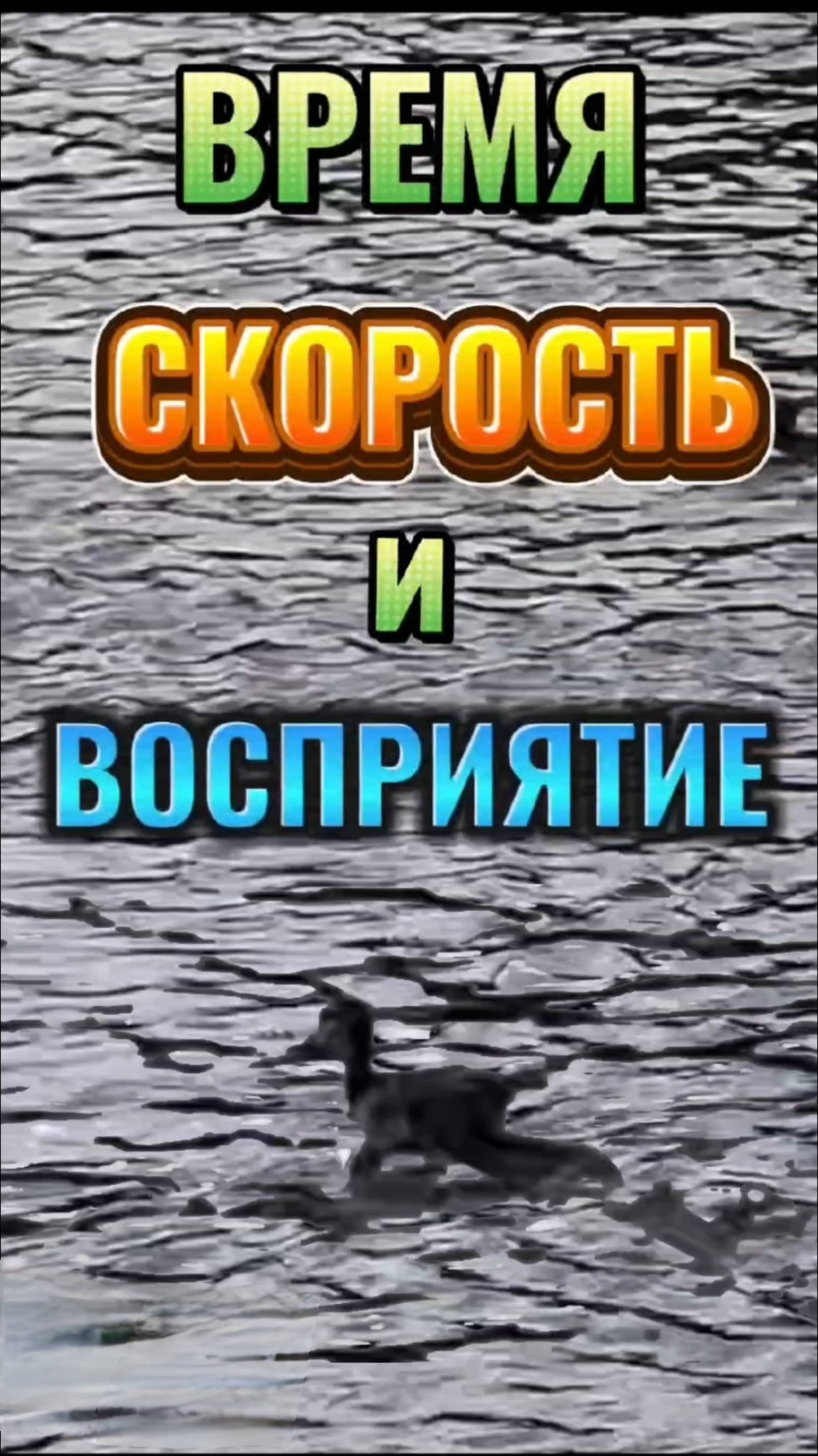 ВРЕМЯ Скорость и ВОСПРИЯТИЕ.
# shorts,, #осознанность, #восприятие воемени.