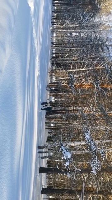 Продам Участок № 112 поселок «Гранат», 9.84 сотки