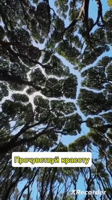 1000017358.mp4