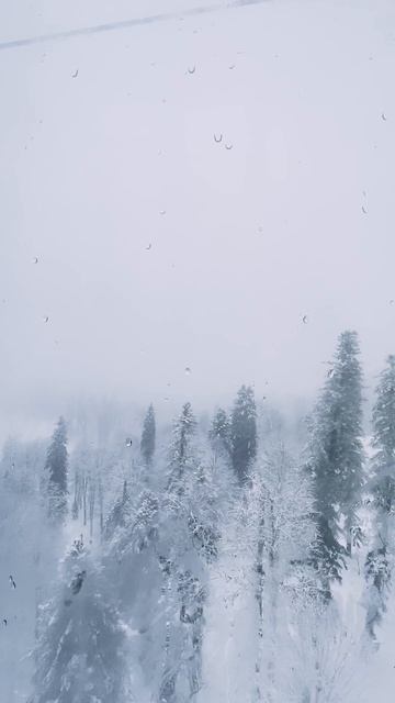 8049827-hd_1080_1920_24fps