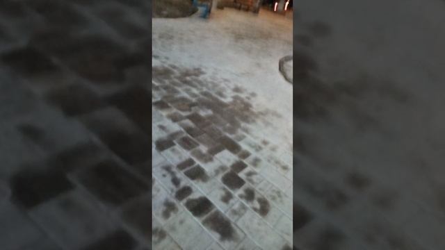 VID_20250124_173145.mp4