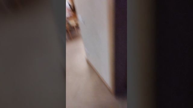 Обзор на мою дачу