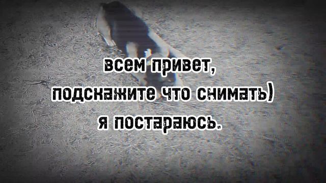 😁начало😁