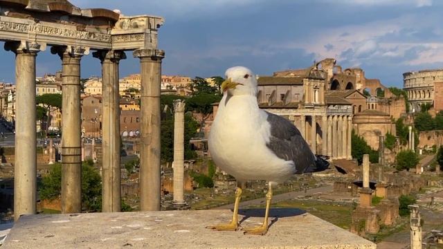 ITALY 2014. ИТАЛИЯ 2014. Rome. Firenze. Venice. Рим. Флоренция. Венеция.