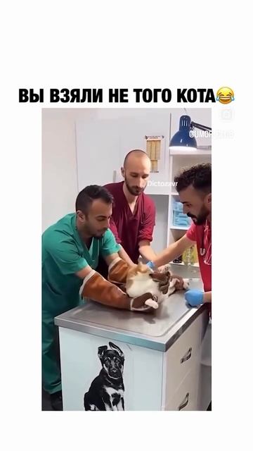 нет нет🚫 🤣🤣🤣