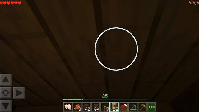 1000007247.mp4