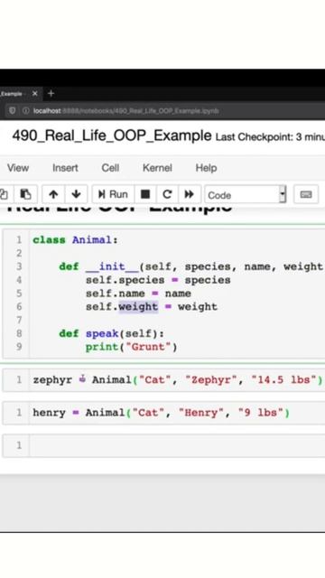 Real Life Object Oriented Programing (OOP) Python Example