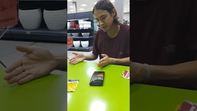 Гниль у огурцов, что делать?