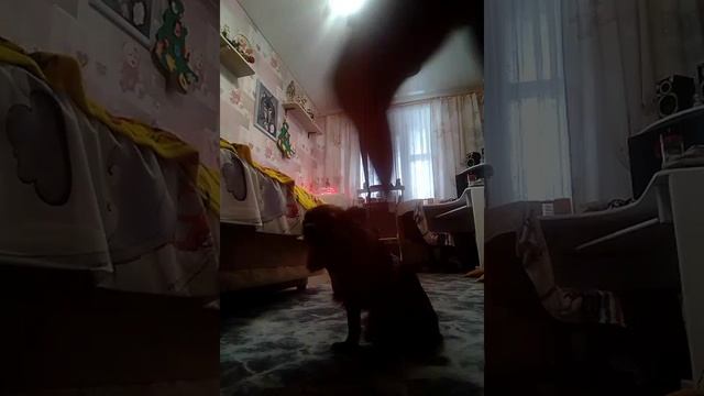 VID_20250125_151258.mp4