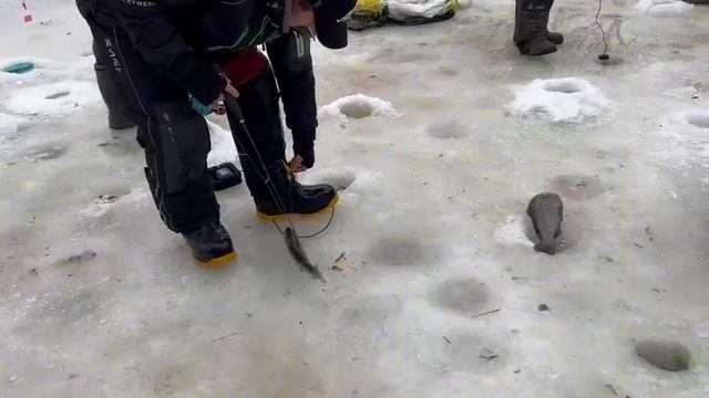 25.01.25 г. РК Волна