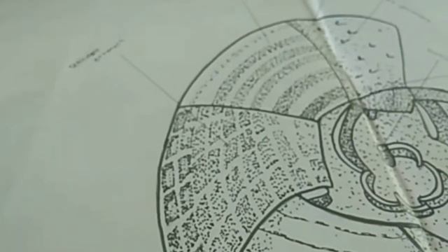 PLANKTONOLOGI