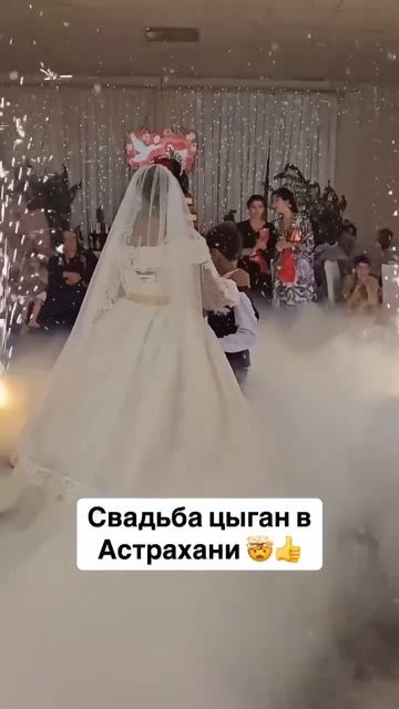 ЦЫГАНИ ПЛЮЮТ НА ЗАКОНЫ РФ !!!