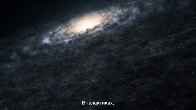 Любовь Творения