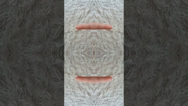 5 июля 2024 г.