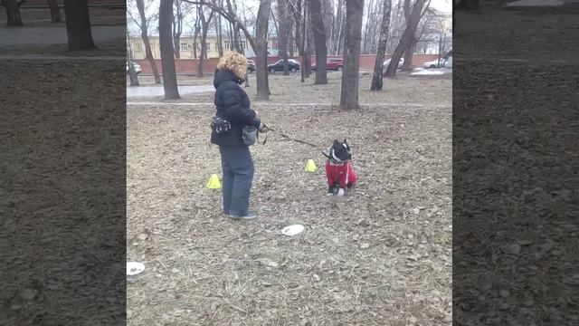 Трен4 25.01.2025