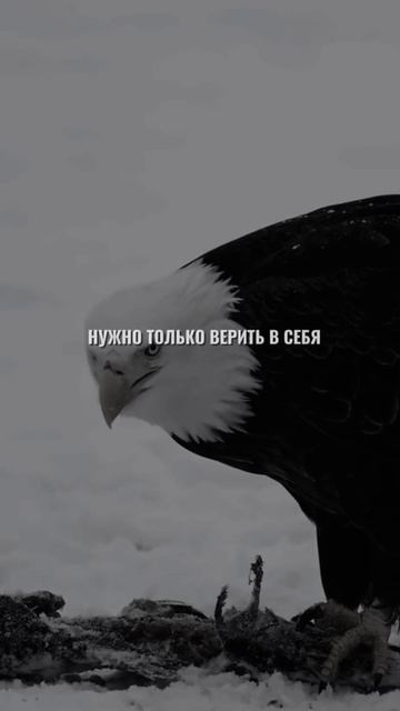 Мотивация