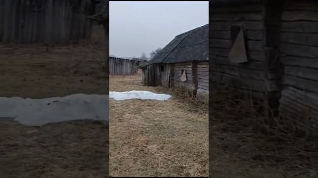 деревенские дела