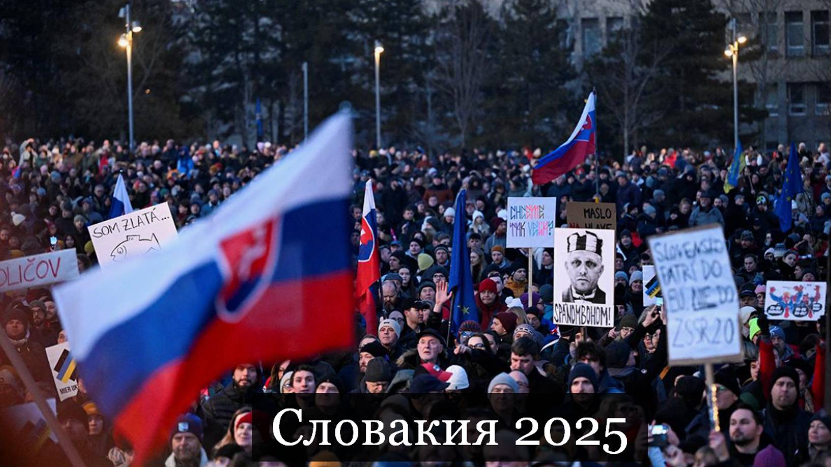 ТАРО #Аврора #гадание  Словакия 2025