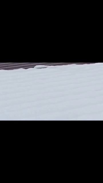 scene_output.mp4
