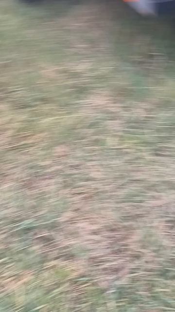 Находка странного люка канал пирожок