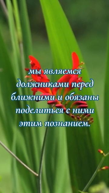 Трубите тревогу по всей земле! | Эллен Уайт о Боге, спасении, вечности