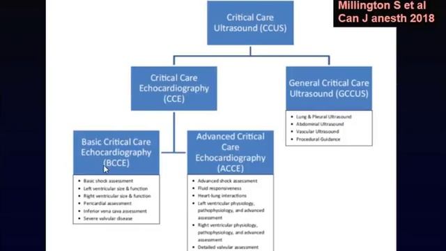 Cardiac function, how to assess Echocardiography, others De Backer Daniel