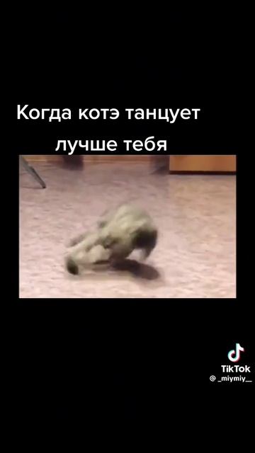 1000062516.mp4