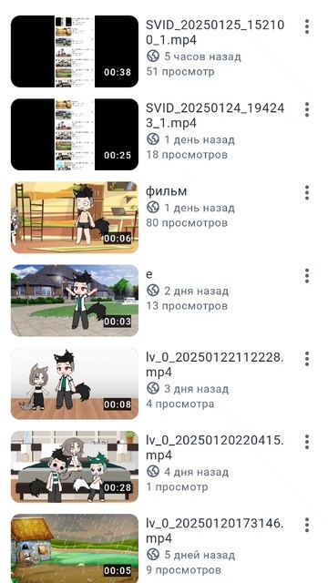 SVID_20250125_204301_1.mp4
